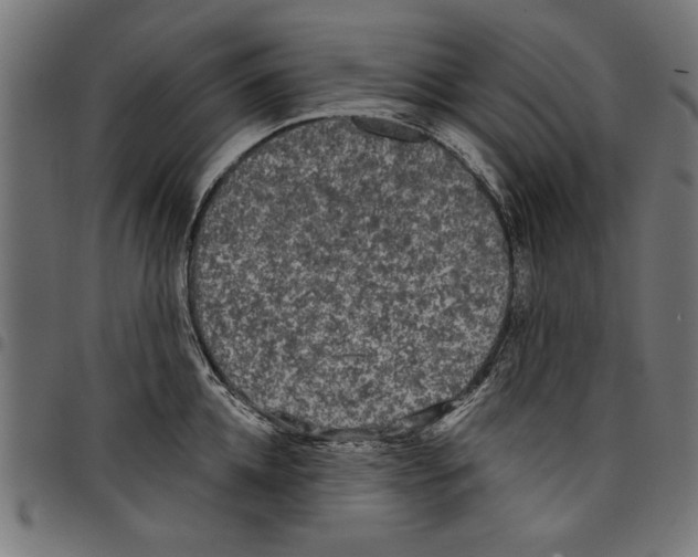 X0000097650952200803280926