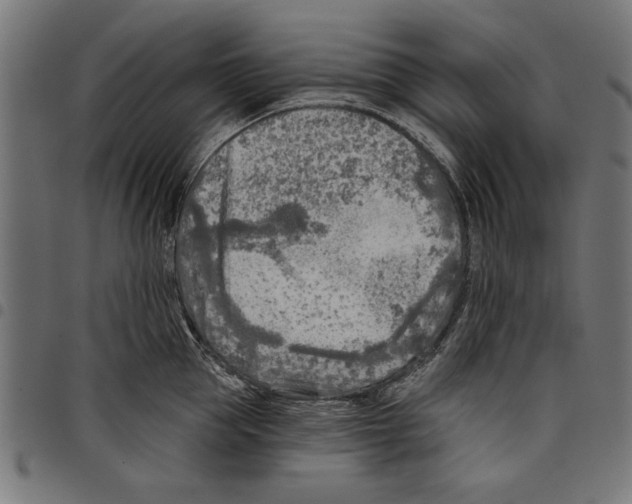 X0000097650953200803280926