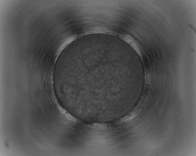 X0000097650954200803280926