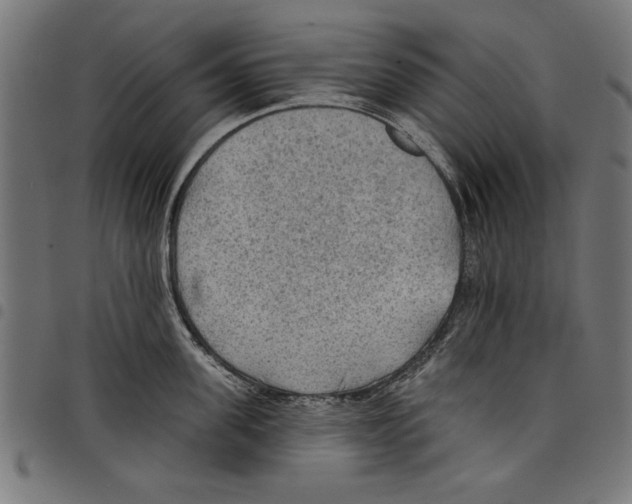 X0000097650955200803280926