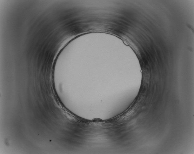 X0000097650956200803280926