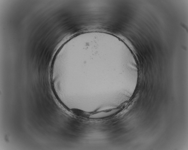 X0000097650957200803280926