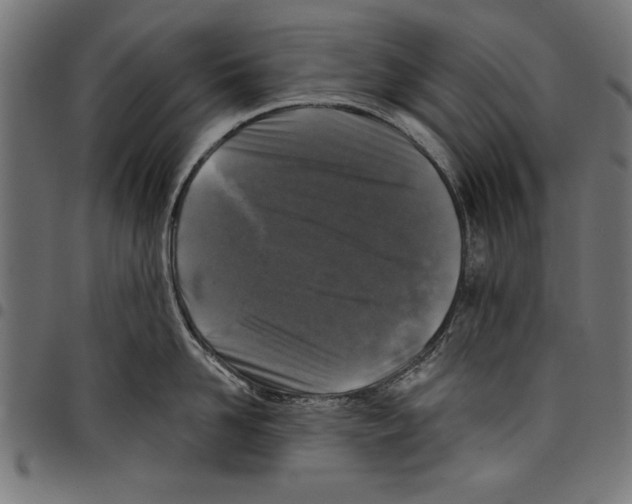 X0000097650958200803280926