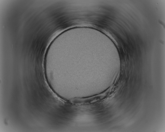 X0000097650959200803280926