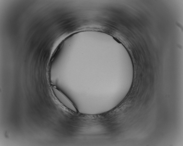 X0000097650960200803280926