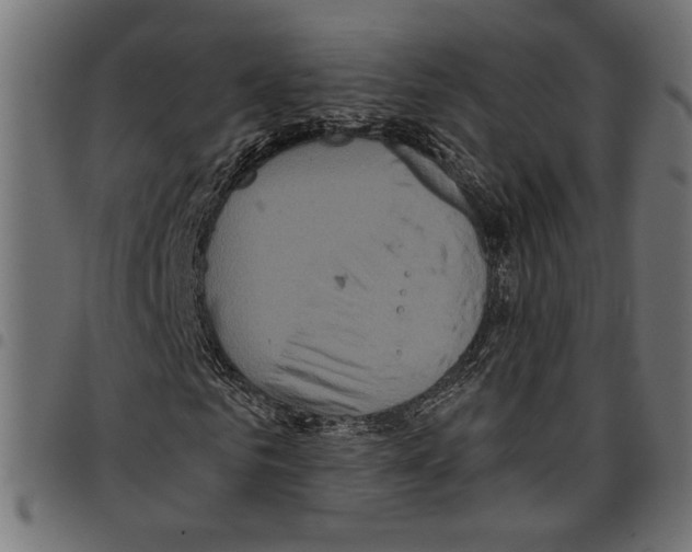 X0000097650961200803280925