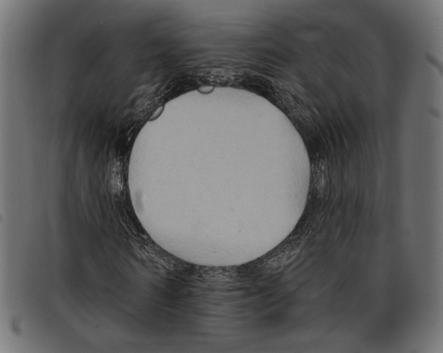 X0000097650962200803280925