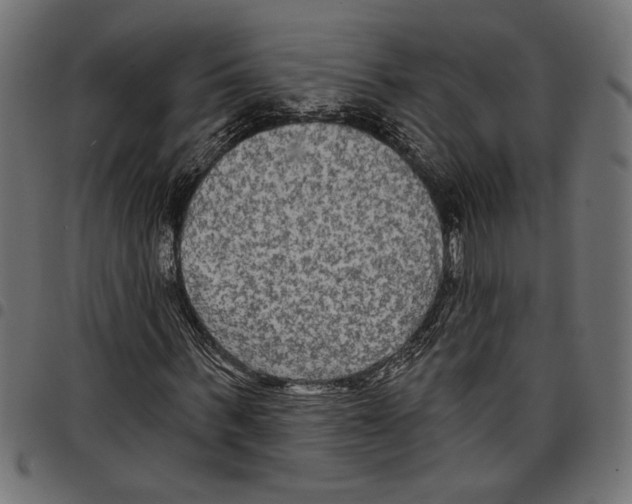 X0000097650963200803280925