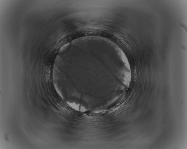 X0000097650964200803280925