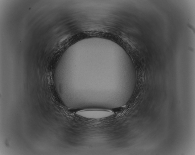 X0000097650965200803280925