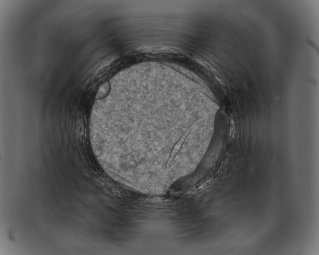 X0000097650966200803280925