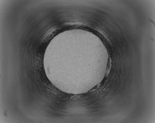 X0000097650967200803280925