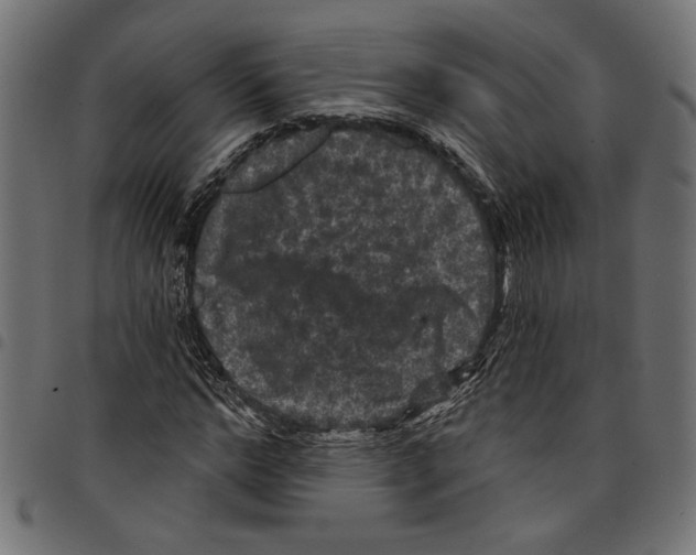 X0000097650968200803280925