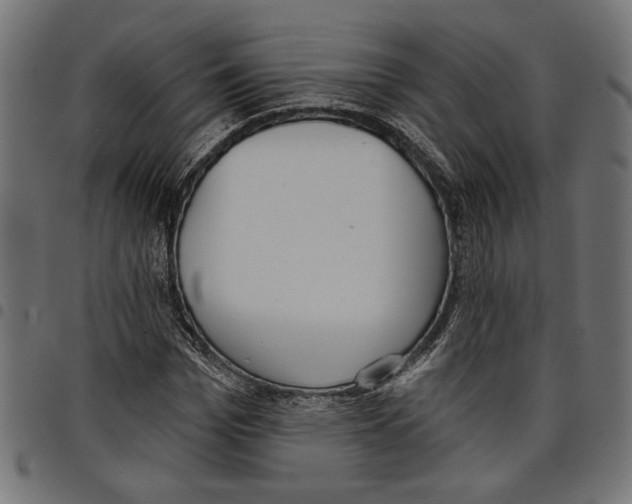 X0000097650969200803280925