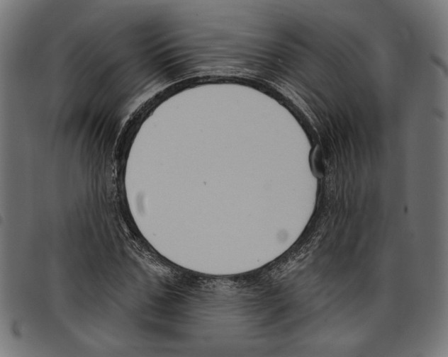 X0000097650971200803280925