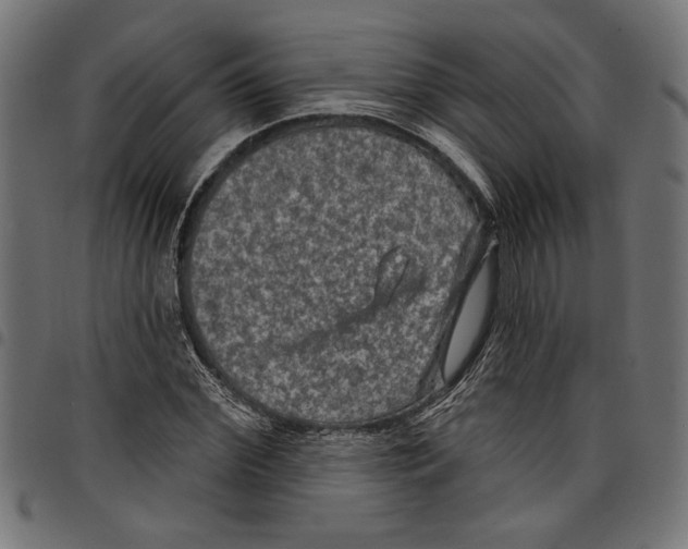 X0000097650972200803280925