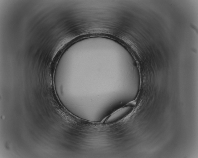 X0000097650973200803280925