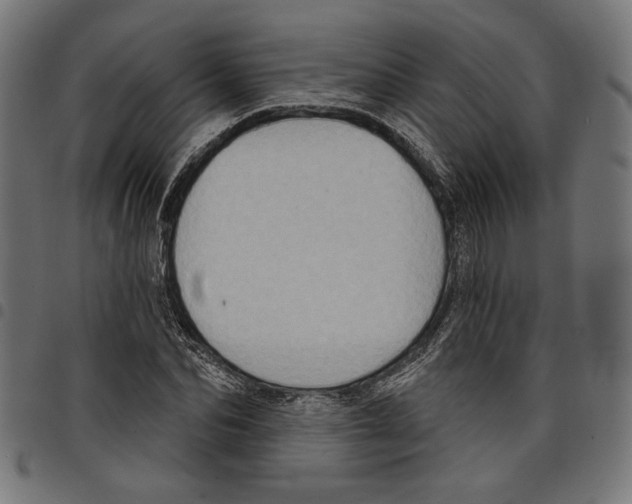 X0000097650974200803280925