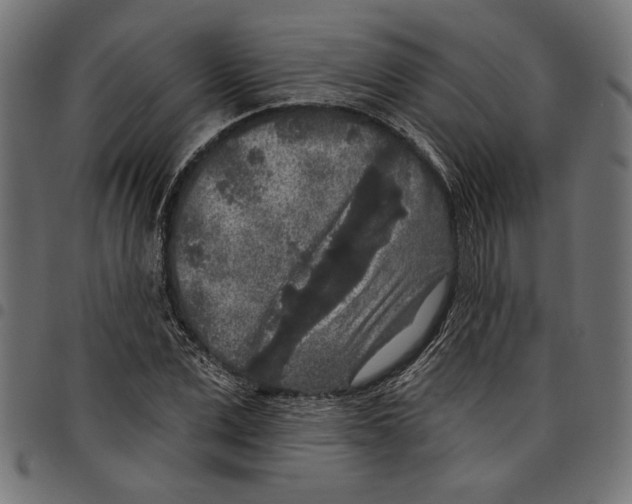 X0000097650975200803280925