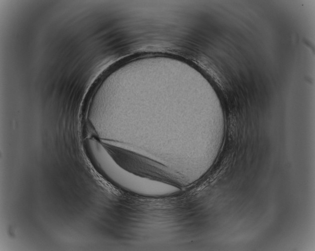 X0000097650976200803280925