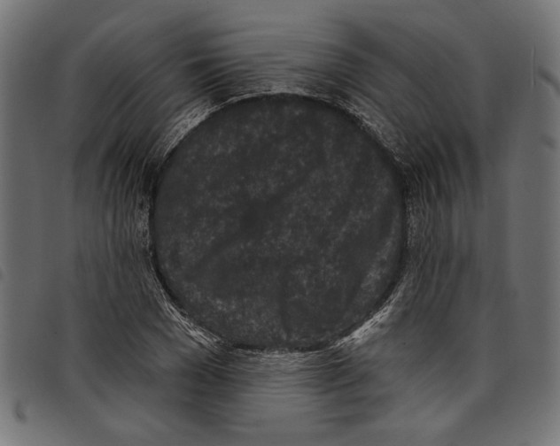 X0000097650977200803280925