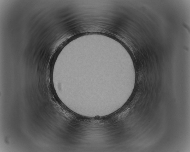 X0000097650979200803280925