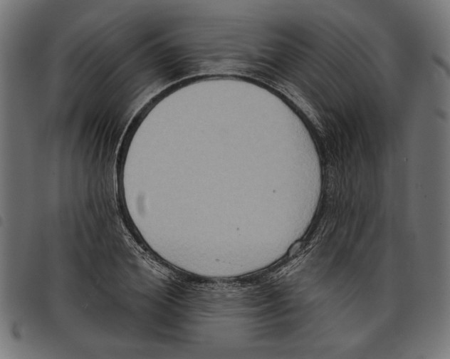 X0000097650980200803280925