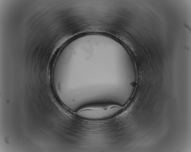 X0000097650981200803280925