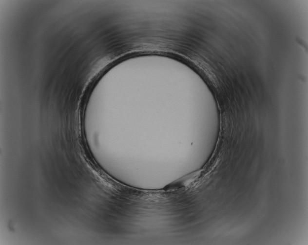 X0000097650982200803280925