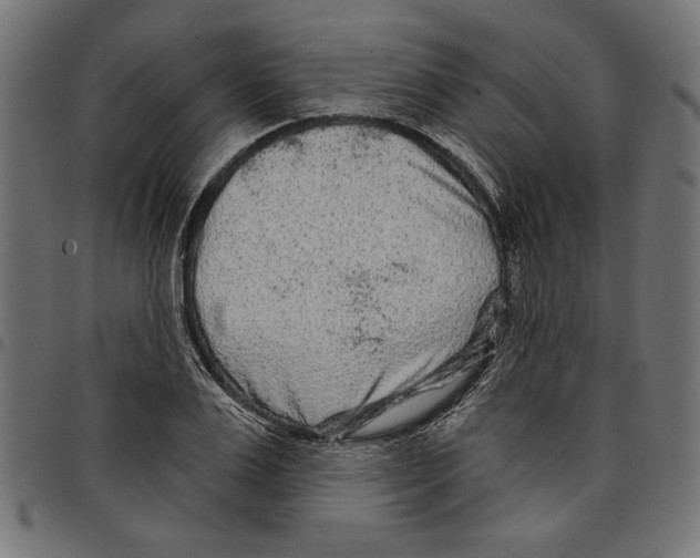 X0000097650983200803280925