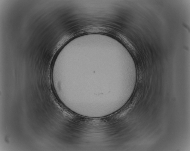 X0000097650986200803280925