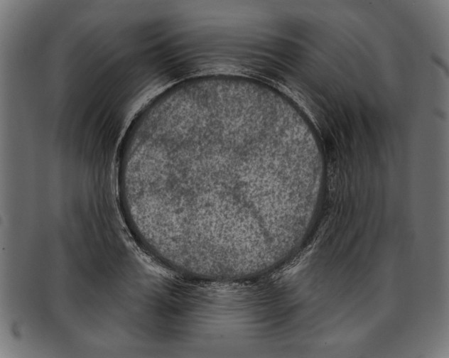 X0000097650987200803280925