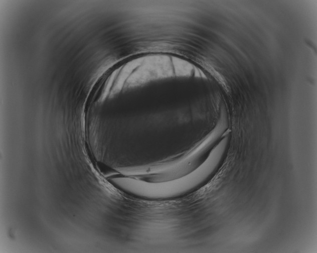 X0000097650988200803280925