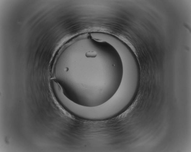 X0000097650989200803280925