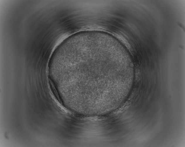 X0000097650990200803280925