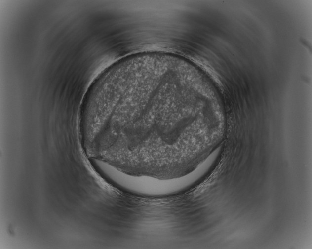 X0000097650991200803280925