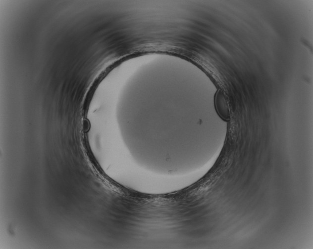 X0000097650992200803280925