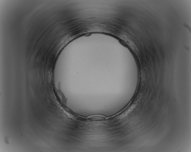 X0000097650993200803280925