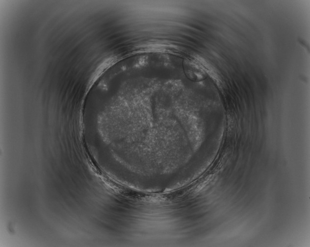 X0000097650994200803280925