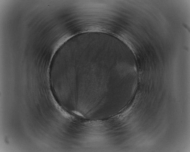 X0000097650995200803280925