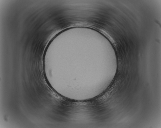 X0000097650996200803280925