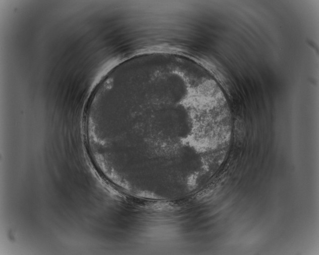 X0000097650998200803280925