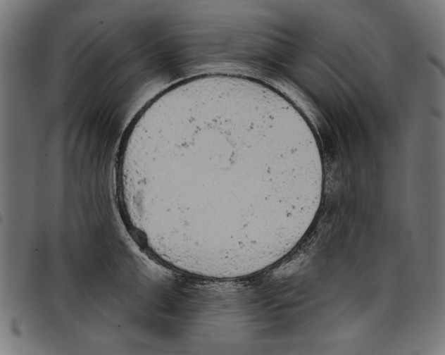 X0000097650999200803280925