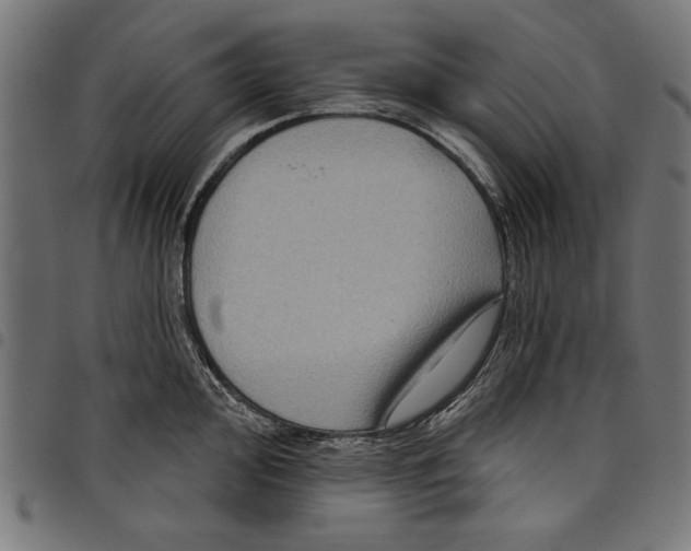 X0000097651000200803280925