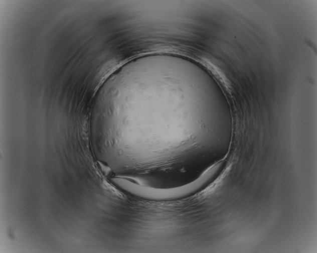 X0000097651001200803280925