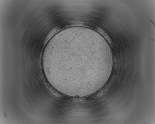 X0000097651002200803280925