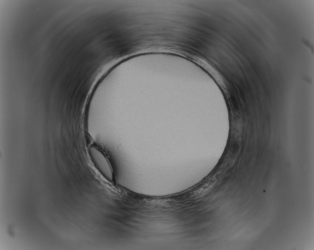 X0000097651004200803280925