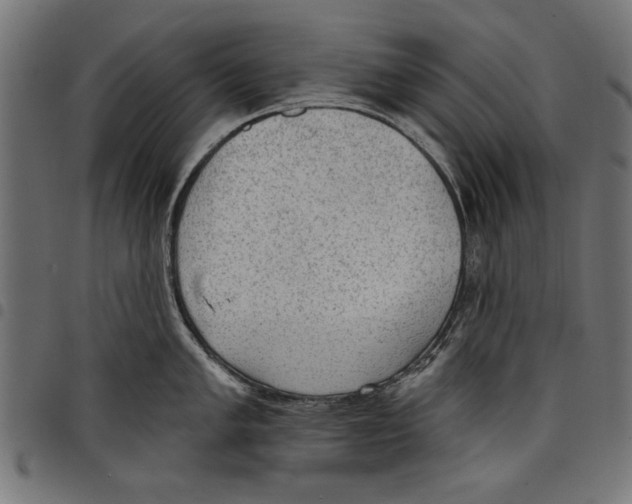 X0000097651005200803280925