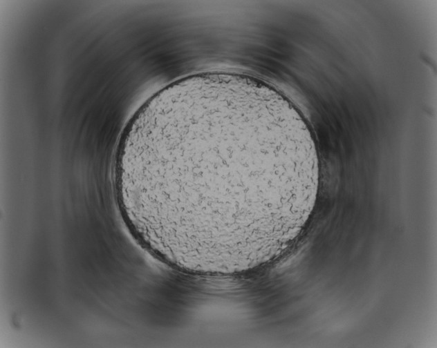 X0000097651007200803280925