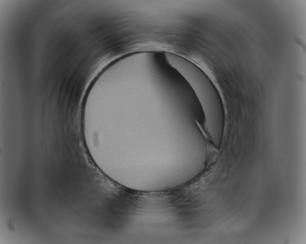 X0000097651008200803280924